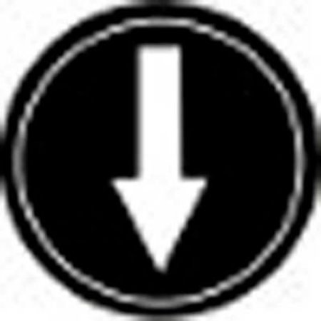 SPRINGER CONTROLS CO T.E.R., Single Arrow Black Button Insert, Use w/ MIKE & VICTOR Pendants PRTA006MPI
